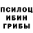 Псилоцибиновые грибы ЛСД rebus