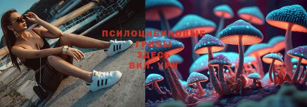 гашиш Заволжск